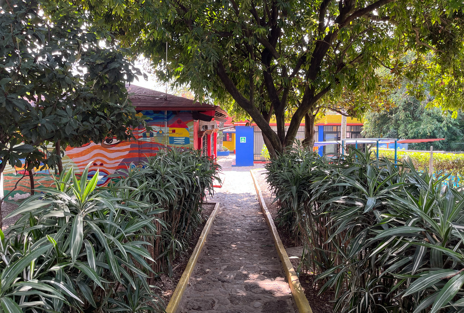 instalaciones-tzintli